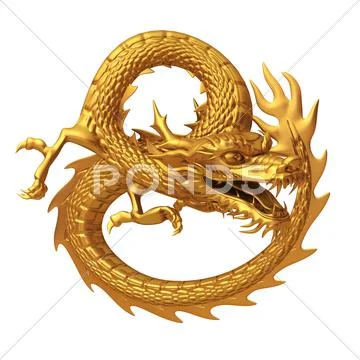 Golden Chinese dragon series isolated on white background Stock Illustration