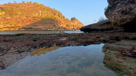 Golden coastal cliffs reflected in calm rocky tide pool at low tide Stock Footage 346741563