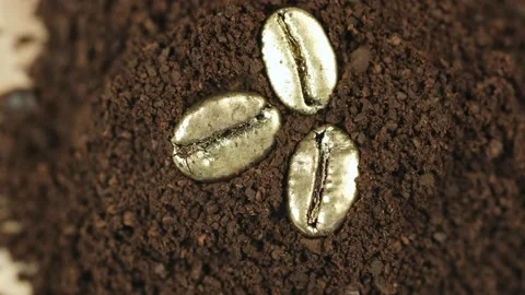 Golden coffee beans. Three roasted gold coffee beans lie on the ground coffee Stock Footage 152017403