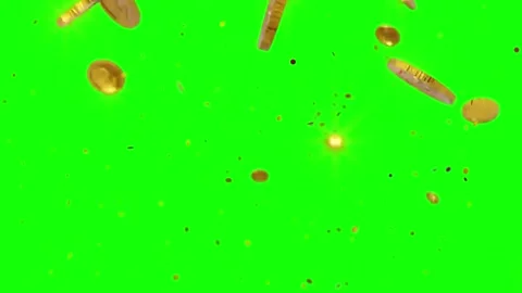 Golden coins falling on green screen background Video stock 337524053
