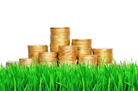 Golden coins in green grass over white background Fotos de archivo