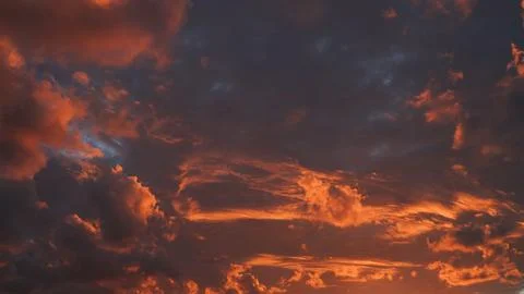 Golden colored sky Stock Photos