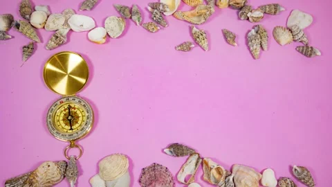Golden compass movement surrounded by seashells on a pink background Stock Footage 287702383