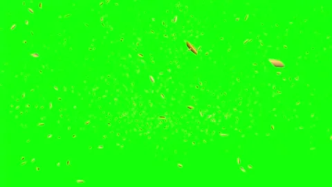 Golden Confetti Explodes from the Bottom on Green Screen. Stock Footage 311226956