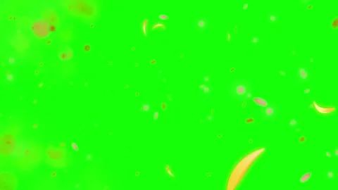 Golden confetti falling motion graphics on green screen background with Stock Footage 345499910