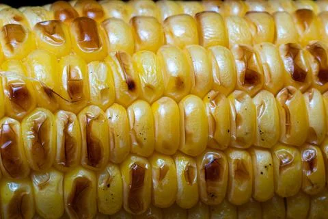 Golden corn cob with caramelized kernels Stockfoto's