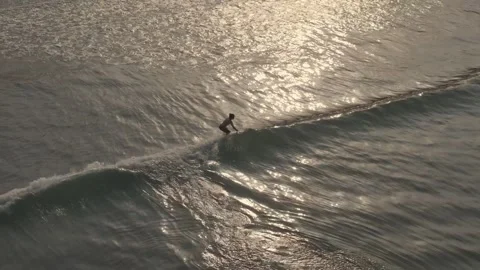 Golden Crest 스톡 동영상 320877808