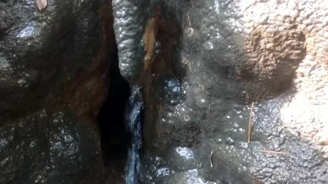 The Golden Crevice 库存影片 333157890