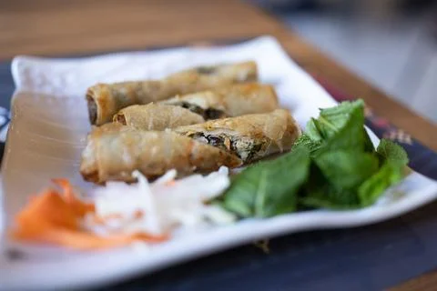 Golden crispy spring rolls served on a white plate Stock Photos