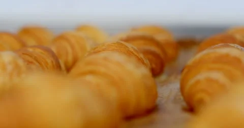 Golden croissant rows on tray with shallow depth of field and warm bakery light Stock Footage 344582855