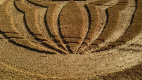 Golden Crop Circle, Close-Up Drone Clip 4K, Warminster, UK 18 June 2023 4K Stock Footage 265377871