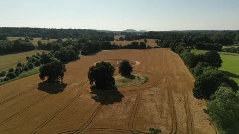 Golden Crop Circle, Gliding Drone Clip 4K, Warminster, UK 18 June 2023 4K Stock Footage 265373947