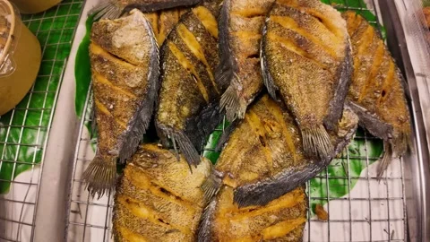Golden Deep Fried Fish Display Street Food Seafood Tray, 4K Stock Footage 331984236
