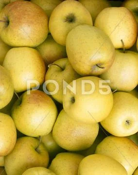 Golden Delicious Apples (Full-Frame)