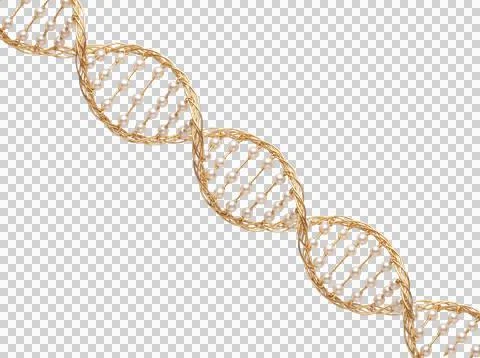 Golden DNA double helix structure with pearls representing genetic code and.. Stock Photos