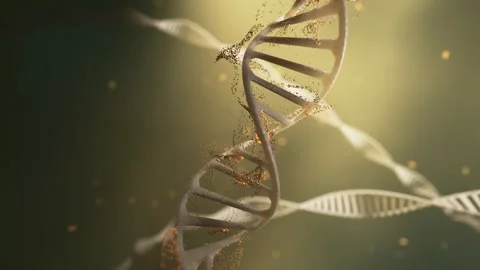 Golden DNA Helix with Rotating Strands. Scientific Research. 3D rendering Stock Footage 253886736