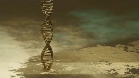 Golden DNA molecule complex spiral structure Stock Footage 210155673