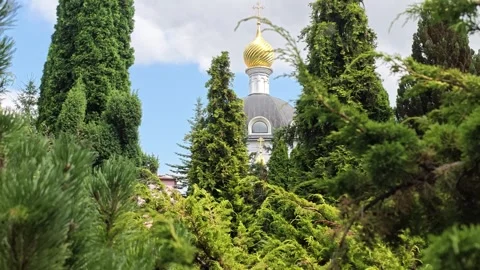 Golden dome peeks through dense evergreen garden framed by tall conifers and Video stock 343628512