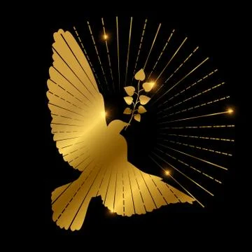 Golden dove of peace logo design. Pigeon, branch and starburst on black Stock Illustration