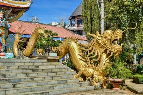 Golden Dragon Stock Photos
