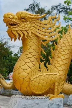 The golden dragon. Photos