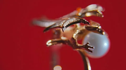 Golden dragon on red Stock Footage 56474028