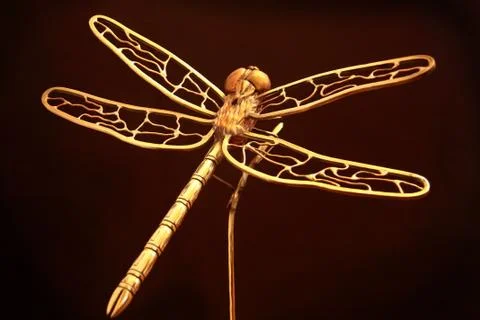 Golden dragonfly Stock Illustration