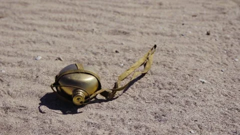 Golden drinking flask Stock Footage 133628565