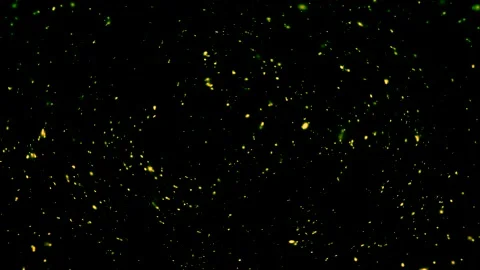 Golden Dust on Black Background Stock Footage 289112461