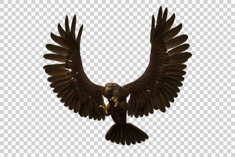 Golden Eagle attacking with claws, 3D illustration isolated on transparent ba Stock Illustration