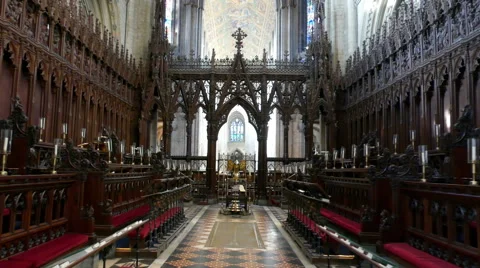 Golden Eagle In Cathedral Stock Footage 59308921