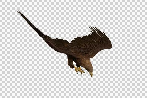 Golden Eagle diving to catch prey, 3D illustration isolated on transparent ba Stock Illustration