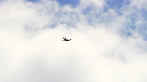 Golden Eagle flying through the air in front of the clouds Stock Footage 332629586
