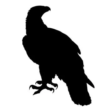 Golden Eagle Stock Illustration
