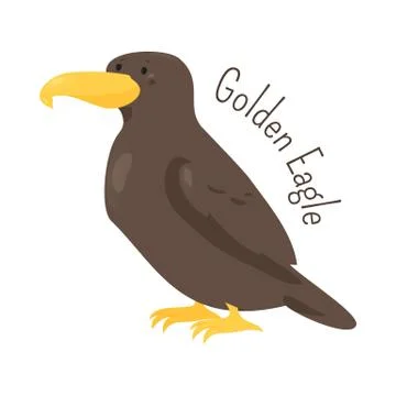 Golden eagle isolated on white Stock Illustration