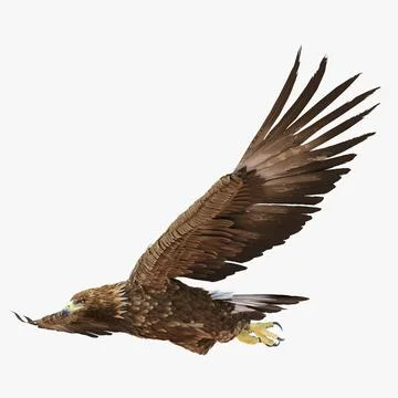 3d Model Golden Eagle Pose 3 Buy Now 91427495 Pond5