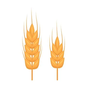 Golden ear of wheat Illustrazione stock