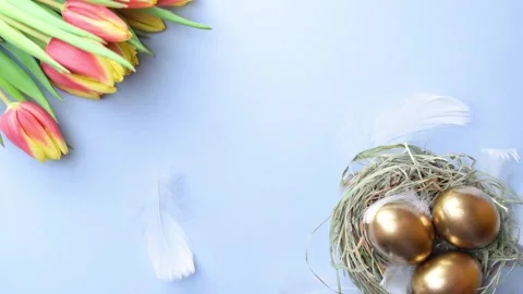 Golden easter colour eggs in basket with spring tulips, white feathers on blue Stock Footage 146962783