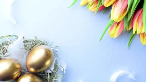 Golden easter colour eggs in basket with spring tulips, white feathers on pastel Stock Footage 148746951