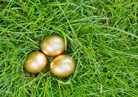 Golden easter eggs on the green grass Stock Photos