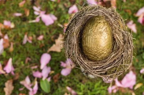 Golden egg nest Stock Photos