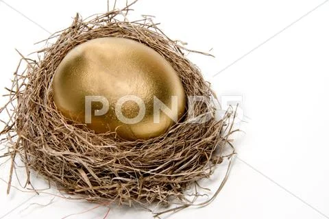 Golden Egg Stock Photos