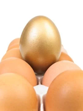 Golden Egg Stock Photos