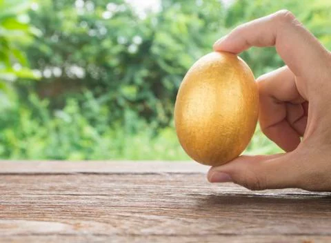 Golden egg. Stock Photos