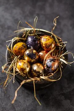 Golden eggs in nest. Easter eggs. easter decoration Stock Photos