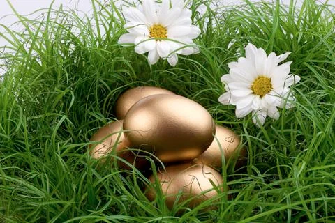 Golden eggs Stock Photos