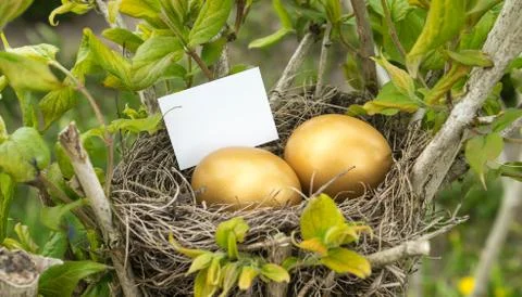 Golden eggs Stock Photos