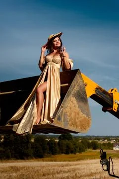 Golden Elegance in the Field Stock Photos