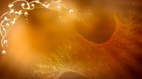 Golden Elegance Vidéo 50644317