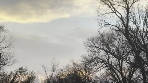Golden Evening Clouds Above Bare Winter Trees Видео 344883553